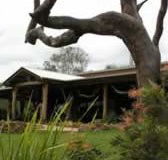 The Hollow Log Country Retreat - Hervey Bay Accommodation