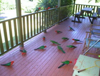 A Little Bit Of Heaven - Holiday Home - Tourism Hervey Bay 8