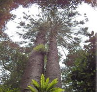 Moorlands Country Retreat - Hervey Bay Accommodation
