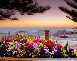 Harristown Guest Rooms - Hervey Bay Accommodation 1