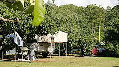 Lilyponds Holiday Park - Hervey Bay Accommodation 4