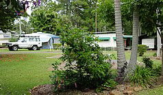 Lilyponds Holiday Park - Hervey Bay Accommodation 5