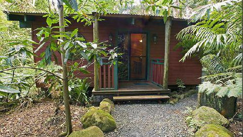 Springbrook Lyrebird Retreat - Hervey Bay Accommodation 0