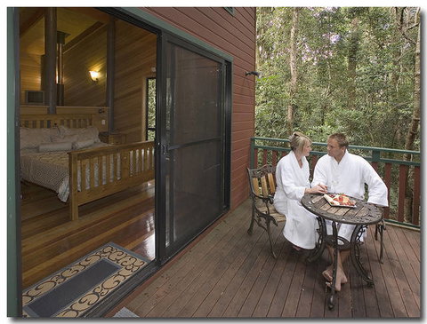 Springbrook Lyrebird Retreat - Hervey Bay Accommodation 1