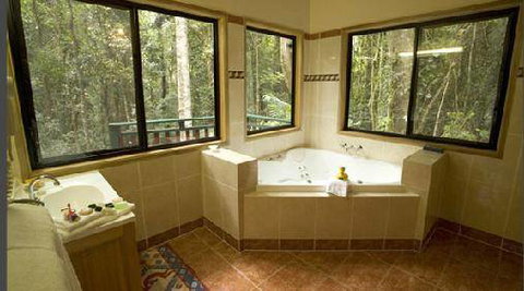 Springbrook Lyrebird Retreat - Hervey Bay Accommodation 2