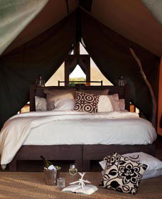 Sal Salis Ningaloo Reef - Hervey Bay Accommodation 0