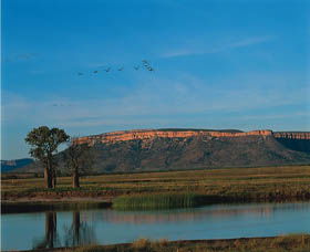 El Questro Homestead - Hervey Bay Accommodation 0