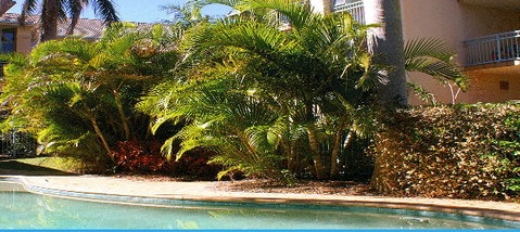 Golden Sea Apartments - Hervey Bay Accommodation 4