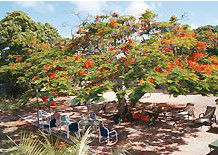 Barnacles Backpackers - Hervey Bay Accommodation 1