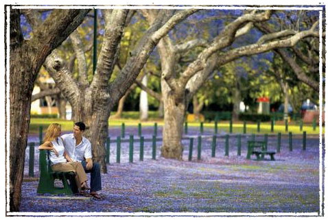 Kirkland House B&B - Hervey Bay Accommodation 3
