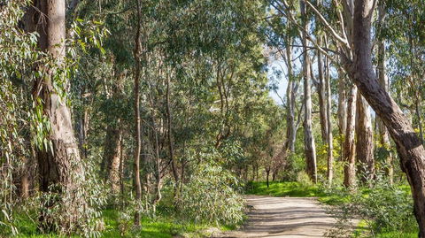 Time Out Holiday Park - Hervey Bay Accommodation 1