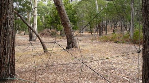 UC Camping Norval - Hervey Bay Accommodation 4