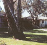 Winbi River Resort - Hervey Bay Accommodation