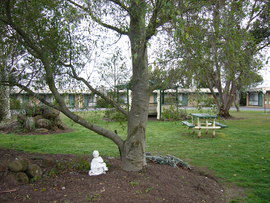 The Gold Sovereign Motor Inn - Hervey Bay Accommodation 0