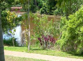 Resort Bamaga - Hervey Bay Accommodation 2