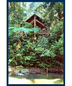 The Canopy Treehouses - Hervey Bay Accommodation 1