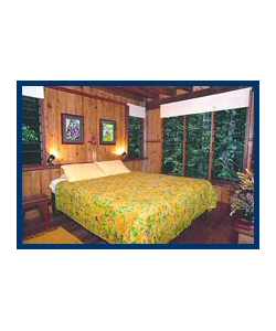 The Canopy Treehouses - Hervey Bay Accommodation 3