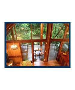 The Canopy Treehouses - Hervey Bay Accommodation 4