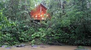 The Canopy Treehouses - Hervey Bay Accommodation 5