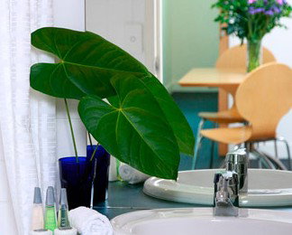 The Point Brisbane - Hervey Bay Accommodation 2