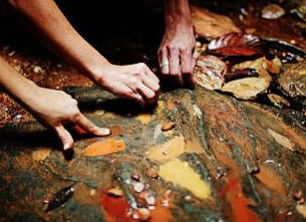 Daintree Eco Lodge And Spa - Hervey Bay Accommodation 0