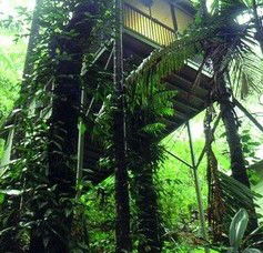 Daintree Eco Lodge And Spa - Hervey Bay Accommodation 1