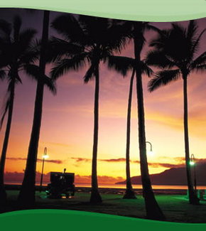 Bay Village Tropical Retreat, Cairns - Hervey Bay Accommodation 1