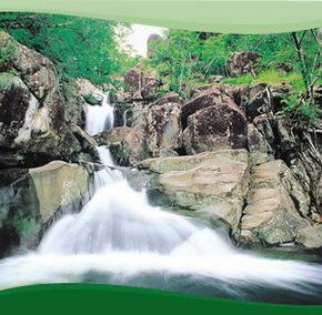 Bay Village Tropical Retreat, Cairns - Hervey Bay Accommodation 2