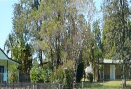 Nimbin Backpackers At Grannys Farm - Hervey Bay Accommodation 0