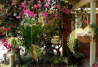 Denham Villas - Hervey Bay Accommodation