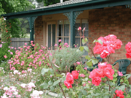 Balnarring Village Motor Inn - Hervey Bay Accommodation 5