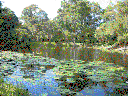 Santa Fe Luxury Bed And Breakfast - Hervey Bay Accommodation 3
