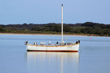 Riverview Cottage - Hervey Bay Accommodation 1