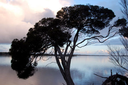 Riverview Cottage - Hervey Bay Accommodation 4