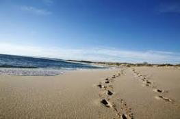 Kalbarri Palm Resort - Hervey Bay Accommodation 4