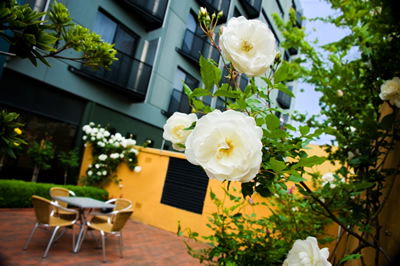 The Old Woolstore Apartment Hotel - Hervey Bay Accommodation 5