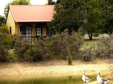 Mountain View Motor Inn And Holiday Lodges - Hervey Bay Accommodation 2