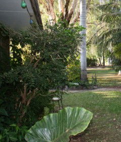 Douglas Daly Holiday Park - Tourism Hervey Bay 1