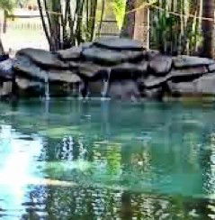 Douglas Daly Holiday Park - Tourism Hervey Bay 2