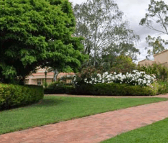 Barossa Weintal Hotel Motel - Hervey Bay Accommodation 2