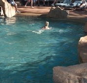 Undara Experience Lava Lodge - Hervey Bay Accommodation