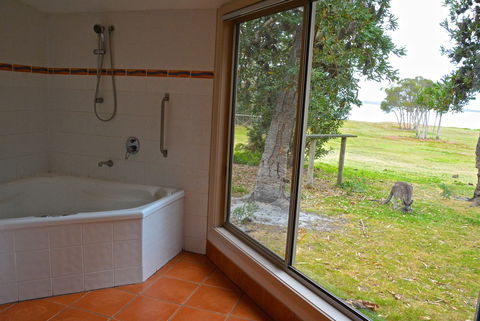 Wattle Point Waterfront Retreat - Hervey Bay Accommodation 5