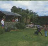 Tambo Lodge - Hervey Bay Accommodation