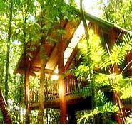 The Canopy Treehouses - Hervey Bay Accommodation