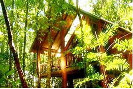 The Canopy Treehouses - Hervey Bay Accommodation 0