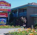 Strzelecki Motor Lodge
