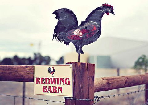 Redwing Farm - The Barn - Hervey Bay Accommodation 0