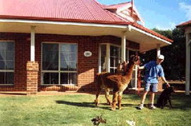 Brilea Cottages - Hervey Bay Accommodation 0