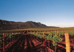 Peppers Guest House Hunter Valley - Hervey Bay Accommodation 2