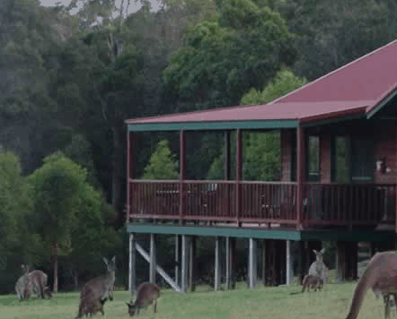 Walpole Wilderness Resort